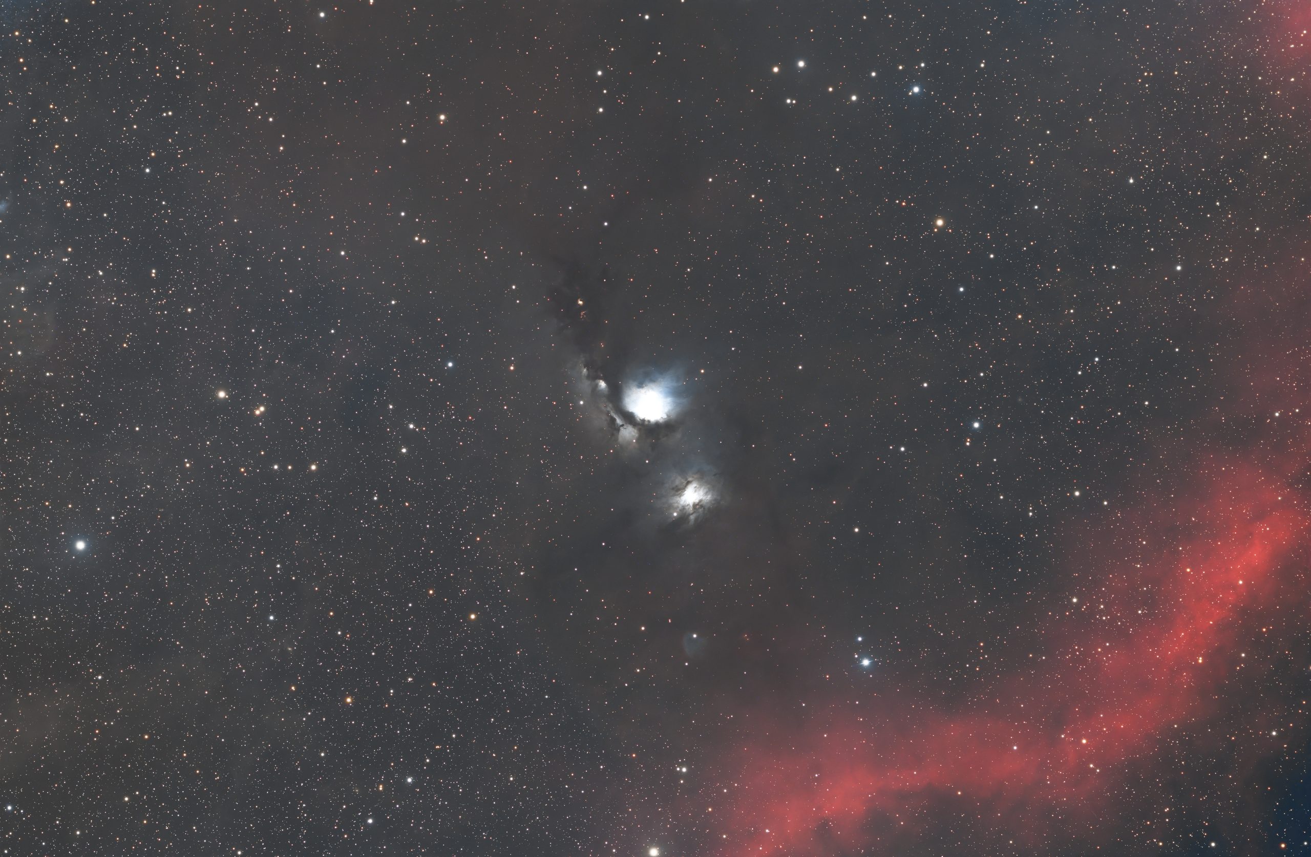 M78 and Barnard's Loop, photographed by Hari Krishna Malladi.