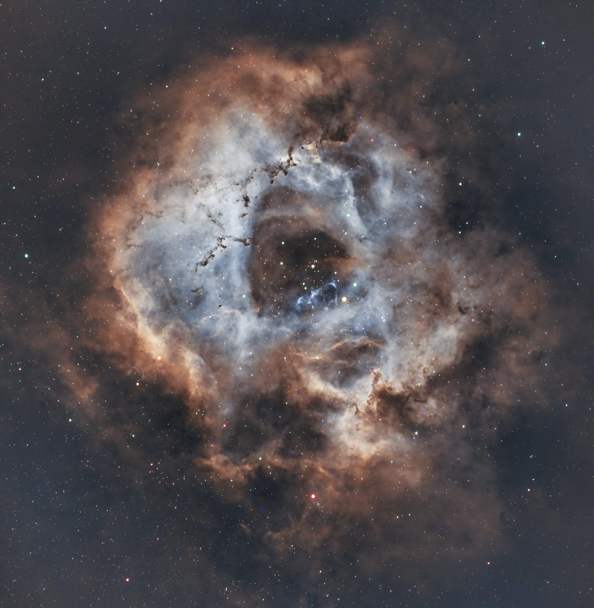 Rosette Nebula, photographed by Hari Krishna Malladi.