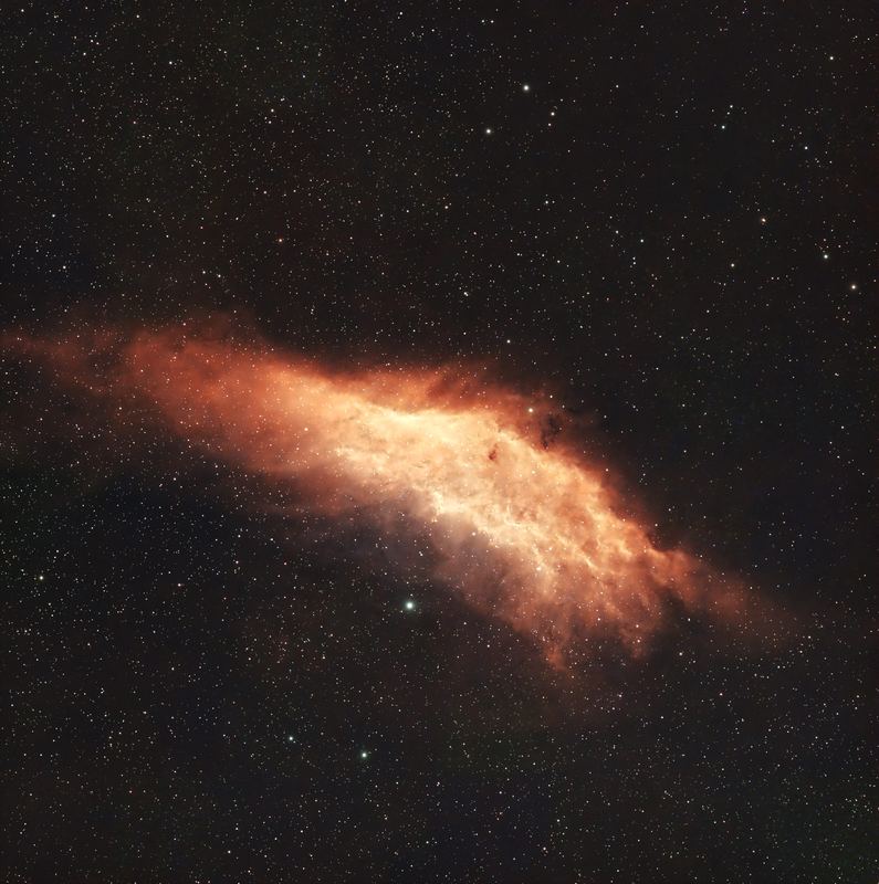 California Nebula, photographed by Hari Krishna Malladi.